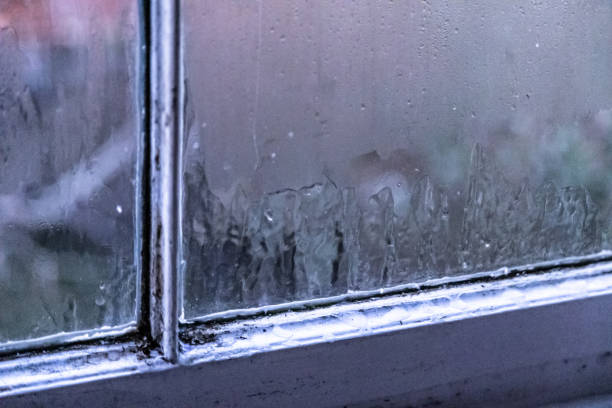 istock Icy window domestic reality Surrey England 1969413363