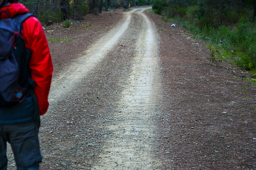 Curvy road in the forest. Pine forest. Dirt road.Hiker in red coat with bag.Focus on road.Model has wound on body.Dirt road in pine forest