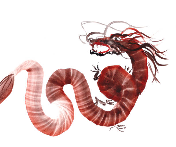 monochrome dragon on white background, chinese brush painting monochrome dragon on white background, chinese brush painting. High quality illustration drawing of chinese dragon sketch stock illustrations