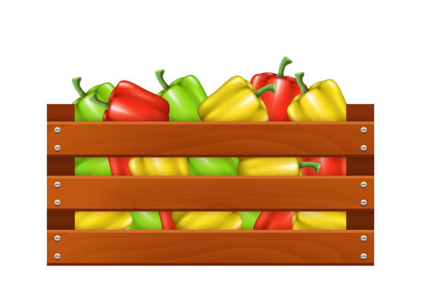 istock Wooden box with bell peppers. Vector realistic illustration isolated on white background. 1969441325