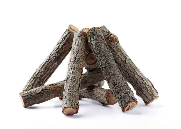 istock The wood of a campfire 1969441638