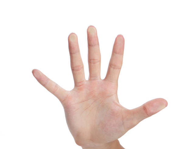 istock The man's hand pressed on the transparent glass 1969442924
