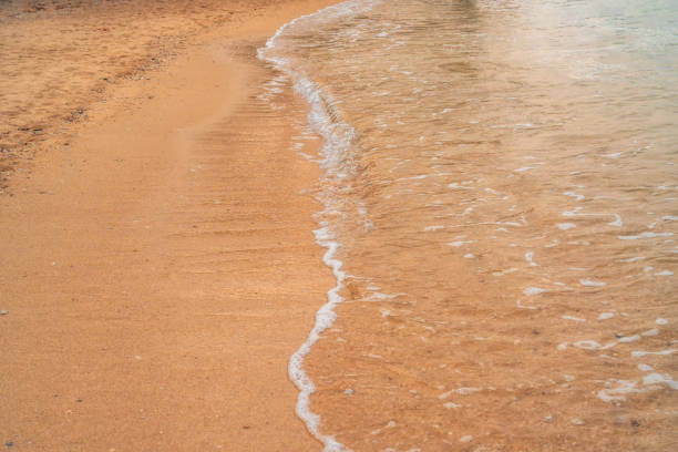 Beach with beautiful brown sand and clear blue water.