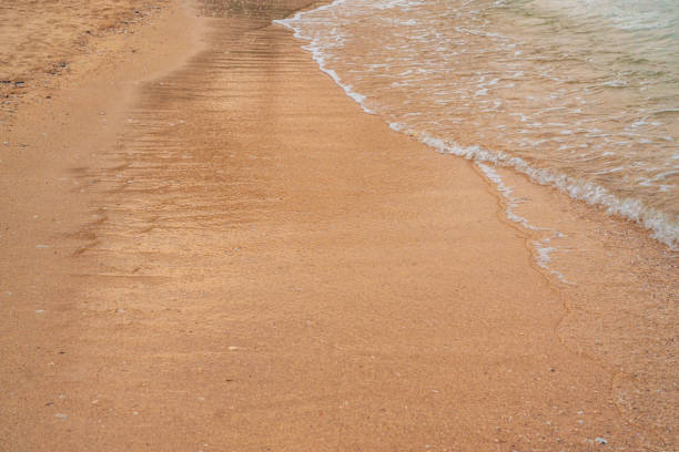 Sandy beach and sea for background