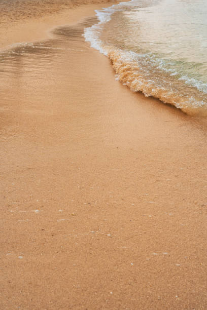 White sea foam on a Florida beach in late December.