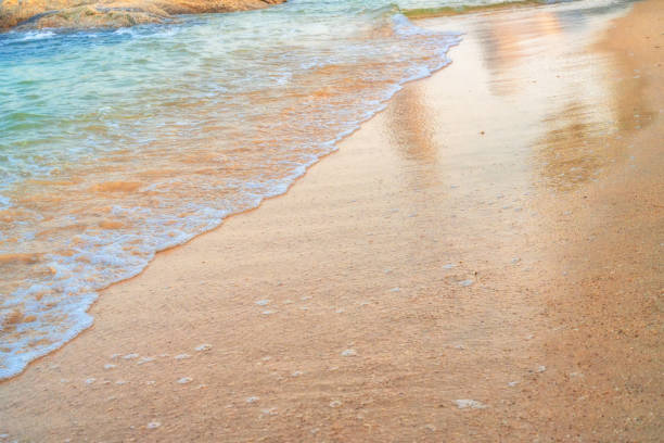 rocks on the beach