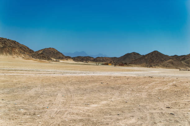istock Daily scene from Egyptian desert during hot day. 1969470482