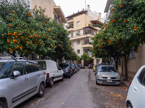 Athens street with orange trees in Greece