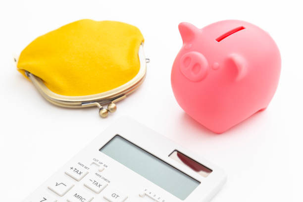 Calculator, wallet and pig piggy bank.