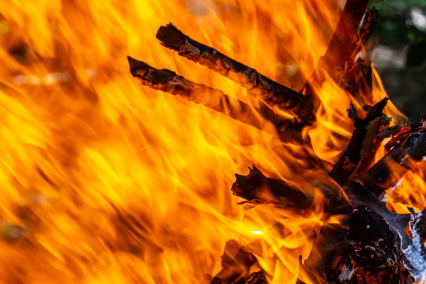 Flame of charcoal fire. Hearth for cooking and heating. Danger in forest.