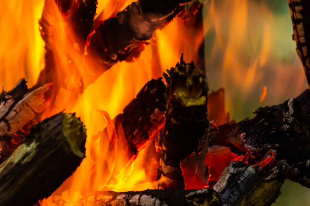 Flame of charcoal fire. Hearth for cooking and heating. Danger in forest.