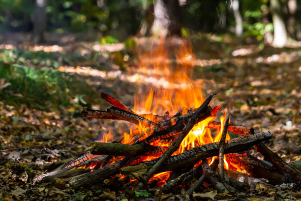 Flame of charcoal fire. Hearth for cooking and heating. Danger in forest.