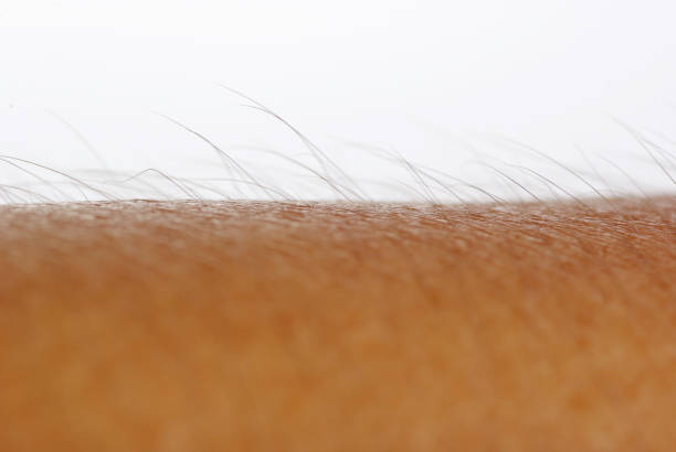 istock Skin close-up shots 1969531268