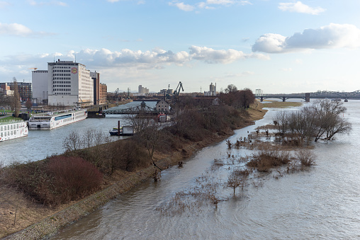 Flood plains at the bank of Rhine river in Cologne-Poll
