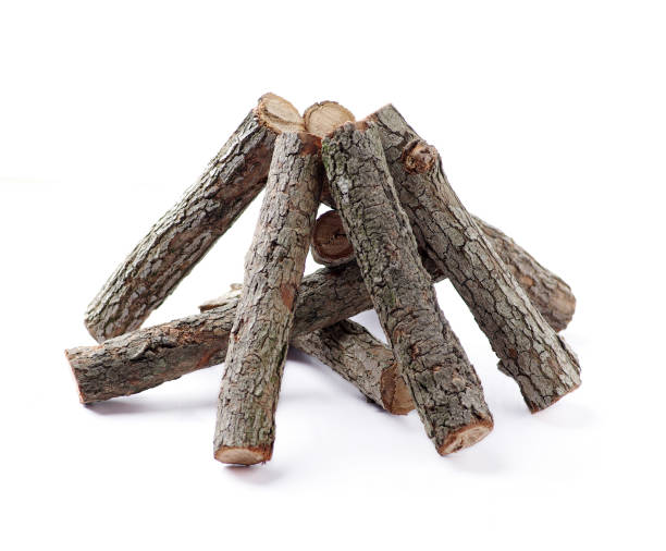 istock The wood of a campfire 1969543586