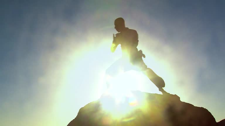 silhouette of an african american man practicing kung fu on a tall rock, sunset time golden hour, reflection of the sun and flare in the background