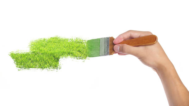 istock Draw green grass with a brush in hand 1969555512