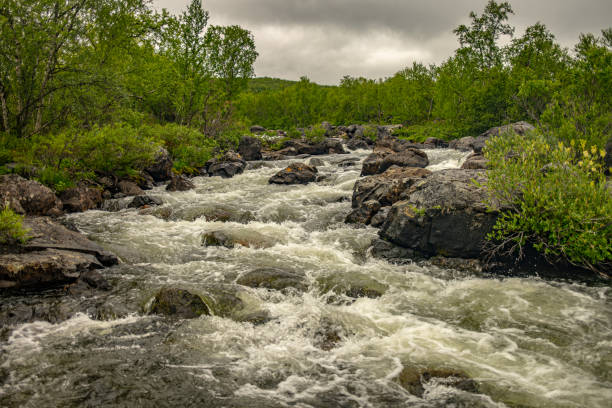 istock Rushing River in Tana, Northern Norway 1969565504