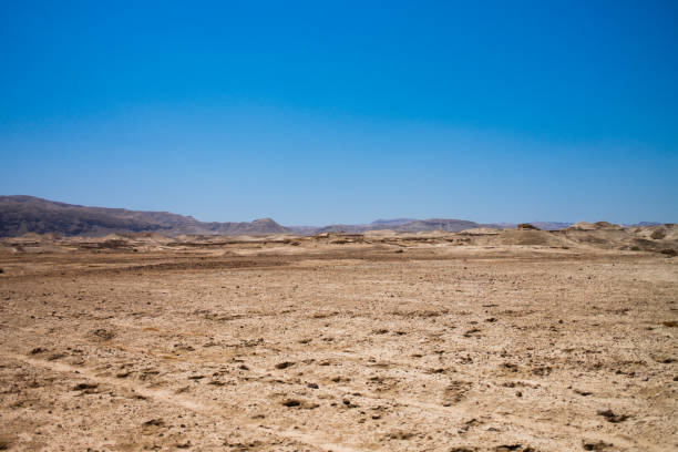 Expansive view of the arid Judean Desert terrain under the bright blue sky, near the Dead Sea in Israel.