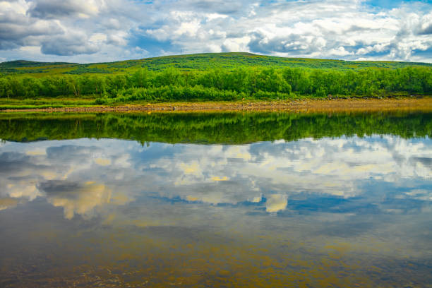 The Tana River reflecting the vast blue skies and lush greenery on the picturesque border between Norway and Finland.