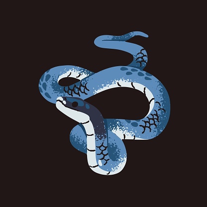 Blue eastern racer snake. Exotic serpent with colored scale. Cute tropical bright boa. Dangerous tree viper. Rainforest fauna, savanna reptile, cold blooded animal. Flat isolated vector illustration.