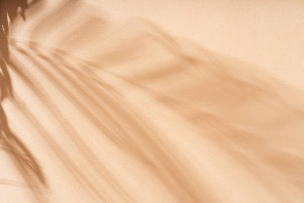 istock Abstract shadow sun glare from glass and leaves, empty background composition for product presentation. Beautiful trendy background. 1969592404