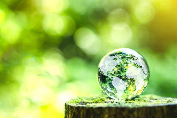 istock Globe Glass on green Moss in forest Environment, save world, earth day and conservation Concept. 1969594029