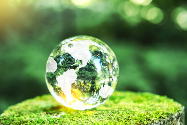 istock Globe Glass on green Moss in forest Environment, save world, earth day and conservation Concept. 1969595589