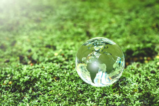 istock Globe Glass on green Moss in forest Environment, save world, earth day and conservation Concept. 1969599894