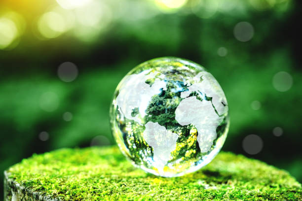 istock Globe Glass on green Moss in forest Environment, save world, earth day and conservation Concept. 1969600440