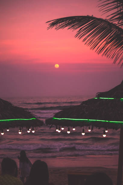 Beach huts on empty beach at twilight, surrounded by palm trees and vibrant greenery: Sunset, Da Nang, Vietnam