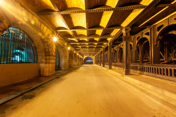 Under the Alexandre III bridge in Paris , France at night
