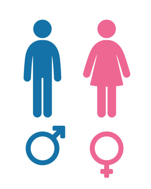 illustrations, cliparts, dessins animés et icônes de symbole de genre. icône féminine et masculine. l’homme et la femme signent. rose et bleu - personnes féminines