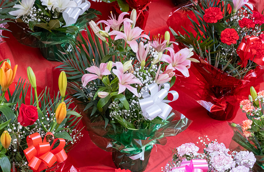 Studio closeup of a beautiful red rose, the symbol of beauty and love