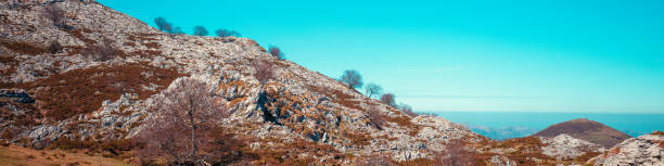 paesaggio roccioso di montagna. cordigliera cantabrica, parco nazionale dei picos de europa, spagna, europa. banner orizzontale - cantabria picos de europe mountains panoramic asturias foto e immagini stock