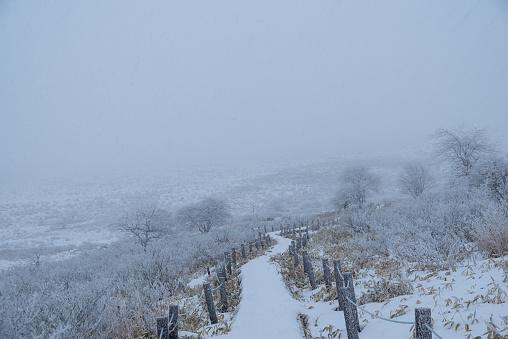 Kirigamine plateau with snowy scenery