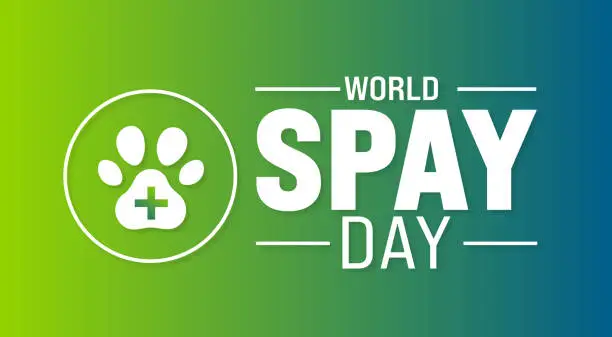 Vector illustration of February is World Spay Day background template. Holiday concept. background, banner, placard, card, and poster design template with text inscription and standard color. vector illustration.