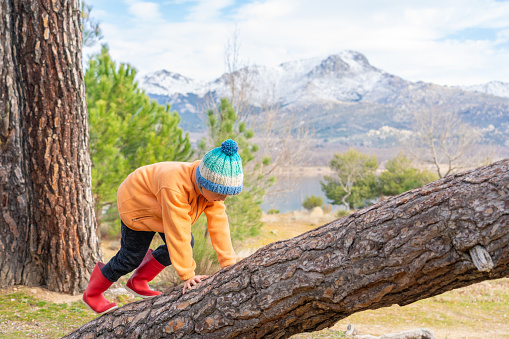 Boy climbing a tree trunk in nature with a snowy mountain in the background