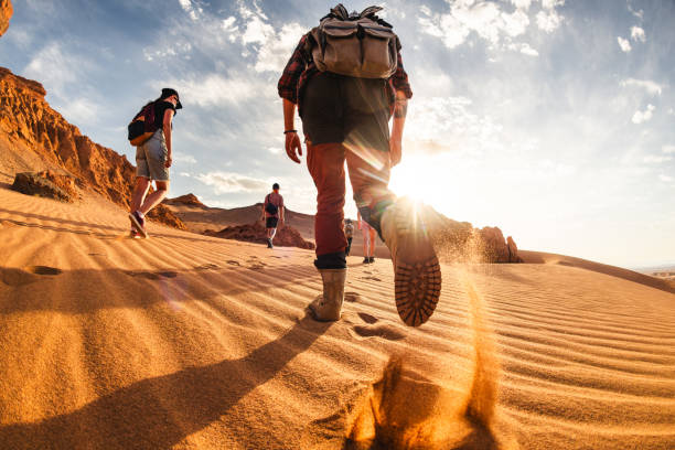 ハイカーの大きなグループが夕暮れの砂漠を歩く - gobi desert ストックフォトと画像