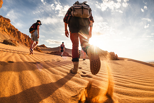 Big group of young hikers or tourists with backpacks walks in sunset Gobi desert