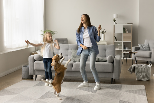 Excited mom and happy preschool daughter kid dancing with playful pet, hopping in living room, having fun, laughing, enjoying active leisure, music at home, training adorable beagle dog. Full length