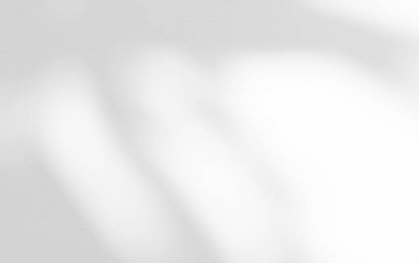 istock White wall with shadow of leaves overlay. Sunlight effect shadow on the wall. 1969810036