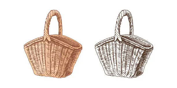 Vector illustration of Hand-drawn colored and monochrome vector sketch of a wicker picnic basket. Doodle vintage illustration. Engraved image.