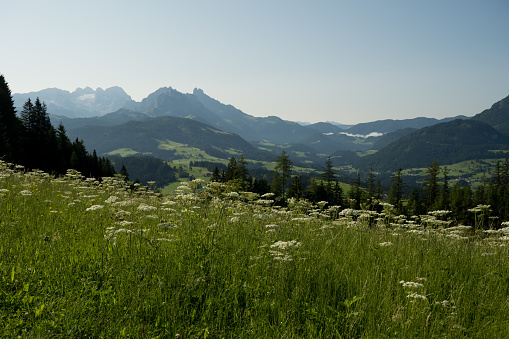 hiking in the high mountains of Tirol