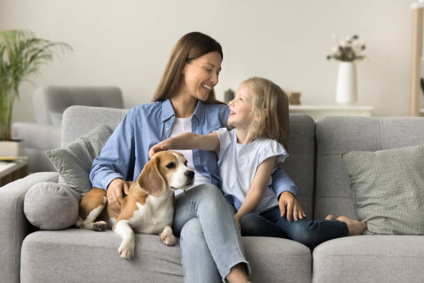 istock Happy beautiful mother embracing kid and touching dog on sofa 1969833647