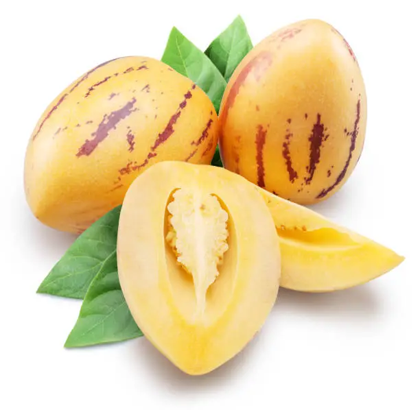 Pepino melon or pepino dulce on white background. File contains clipping path.