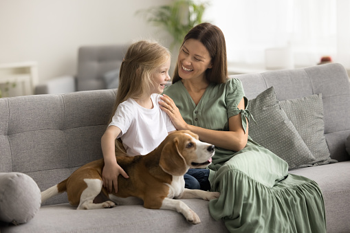 Cheerful mother and happy cute preschool kid girl enjoying play with beagle dog, family leisure, comfort at home, sitting on comfortable sofa, talking, laughing, touching pet