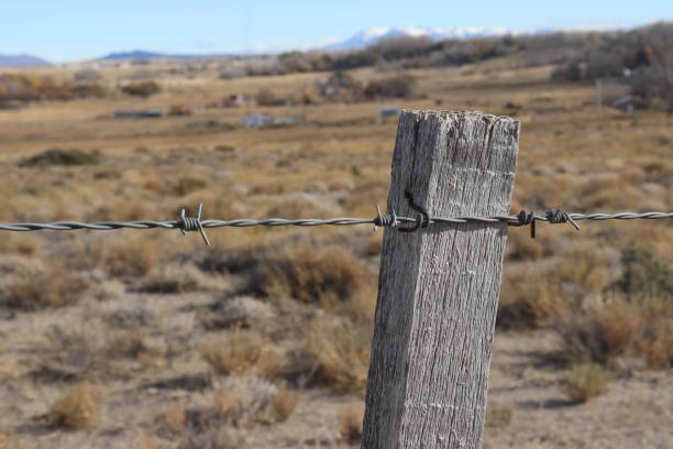 istock Wooden fence with barbed wire in foreground 1969849715