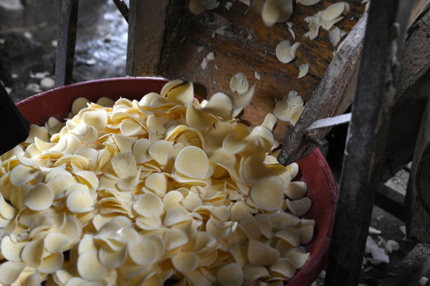 The process of making sweet potato chips