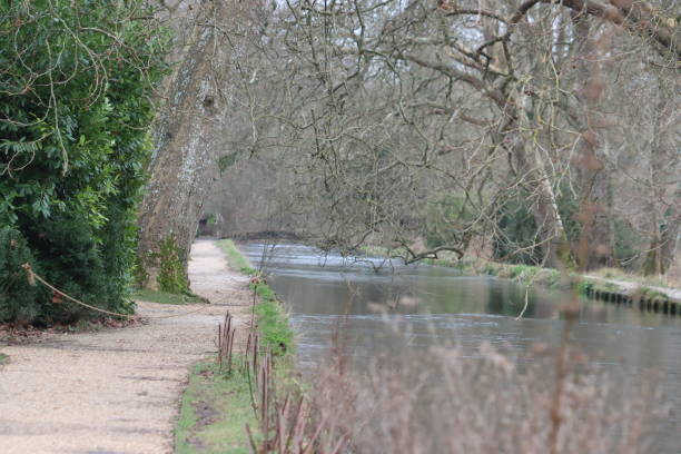 mottisfont romsey riverside walk mottisfont stock pictures, royalty-free photos & images